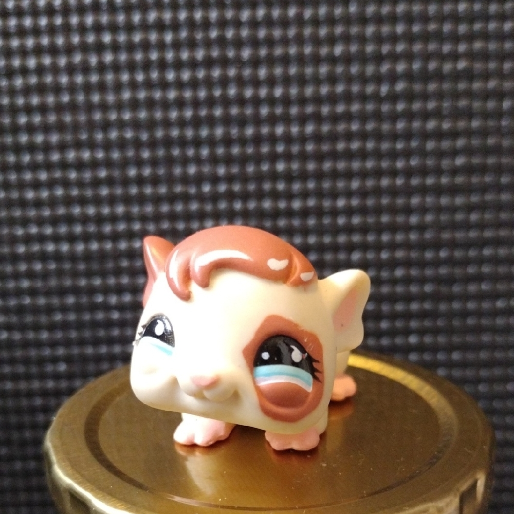 LPS - Guinea Pig